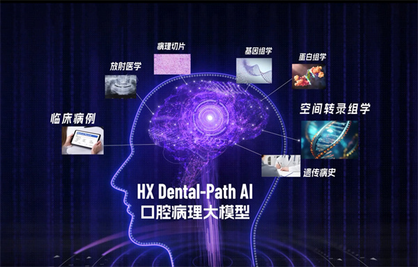 11-病例大模型.jpg